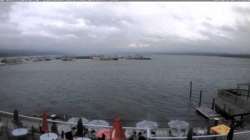 Digby Harbour