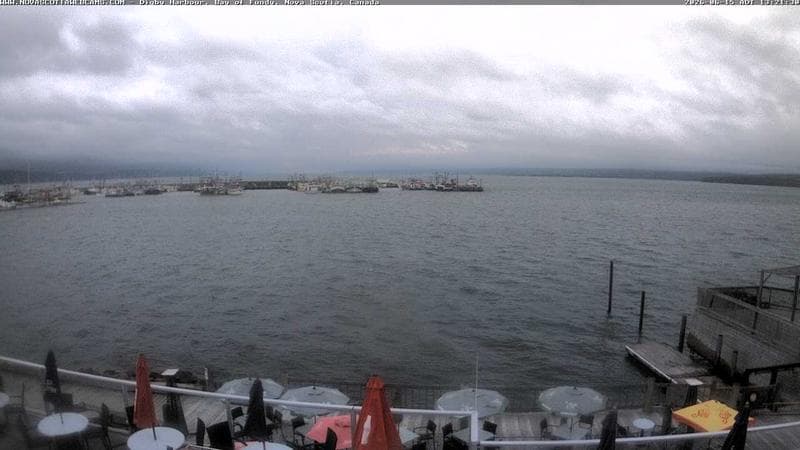 Digby Harbour