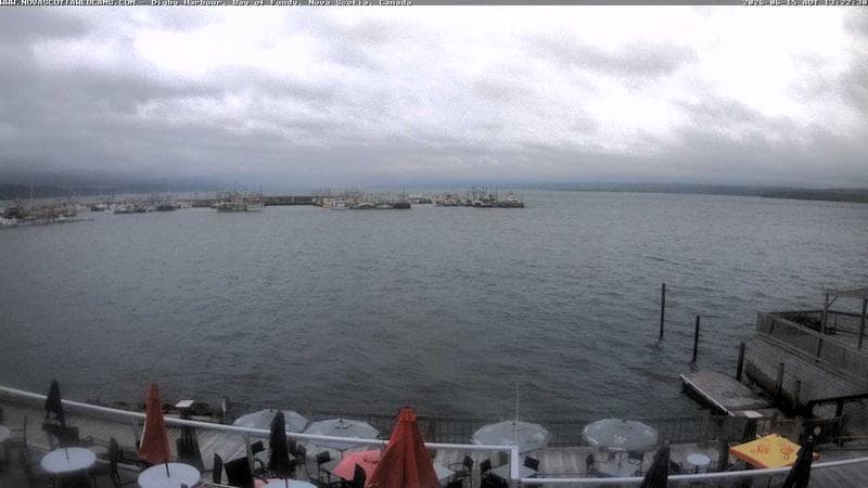 Digby Harbour