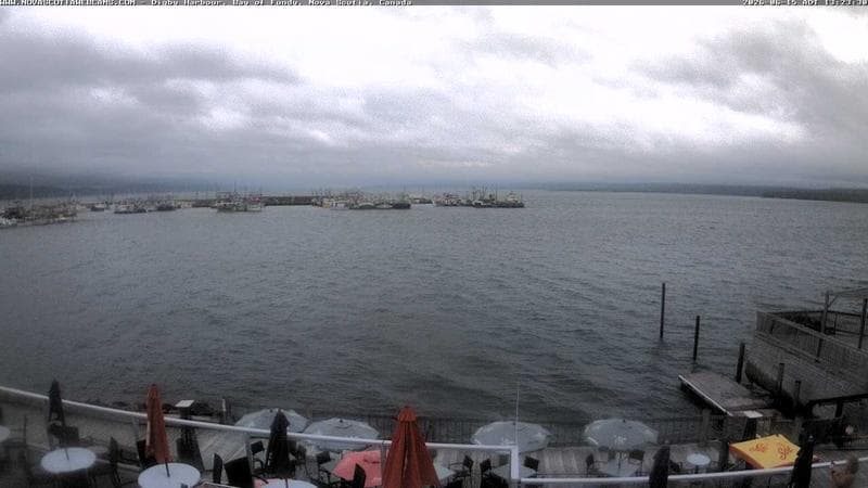 Digby Harbour