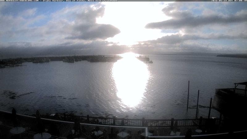 Digby Harbour