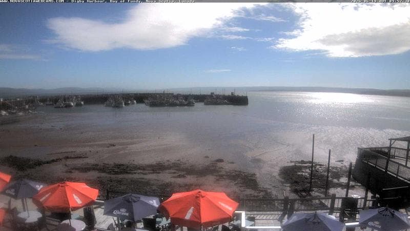 Digby Harbour