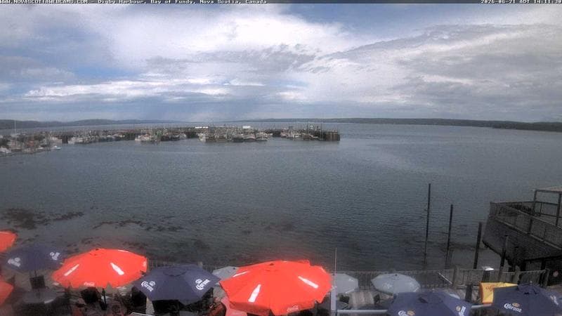 Digby Harbour