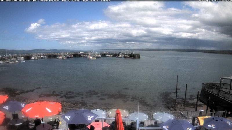 Digby Harbour