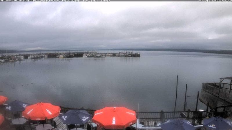Digby Harbour