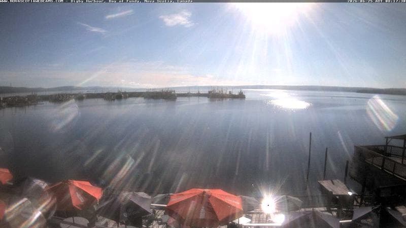 Digby Harbour