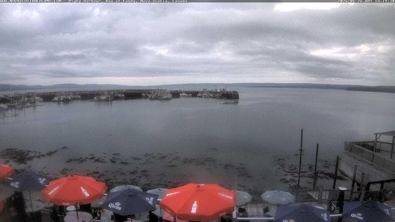 Digby Harbour