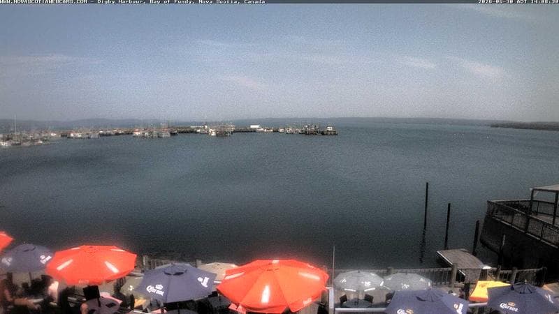 Digby Harbour