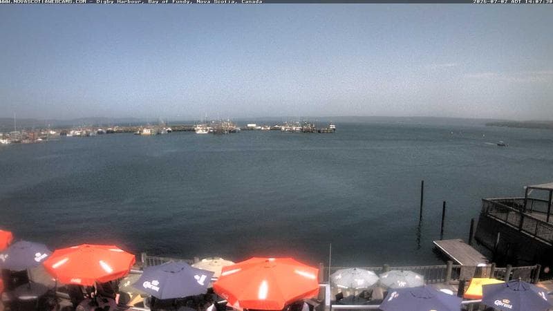 Digby Harbour