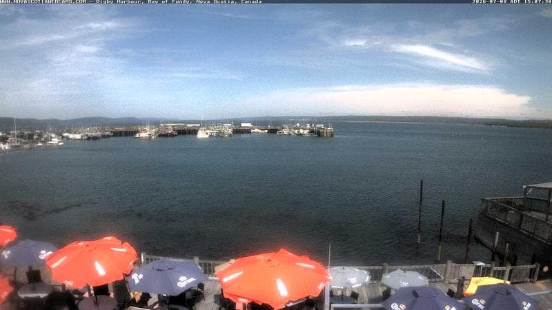 Digby Harbour