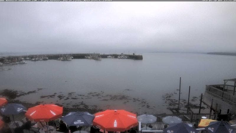 Digby Harbour