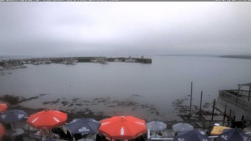 Digby Harbour