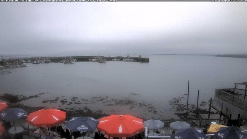 Digby Harbour
