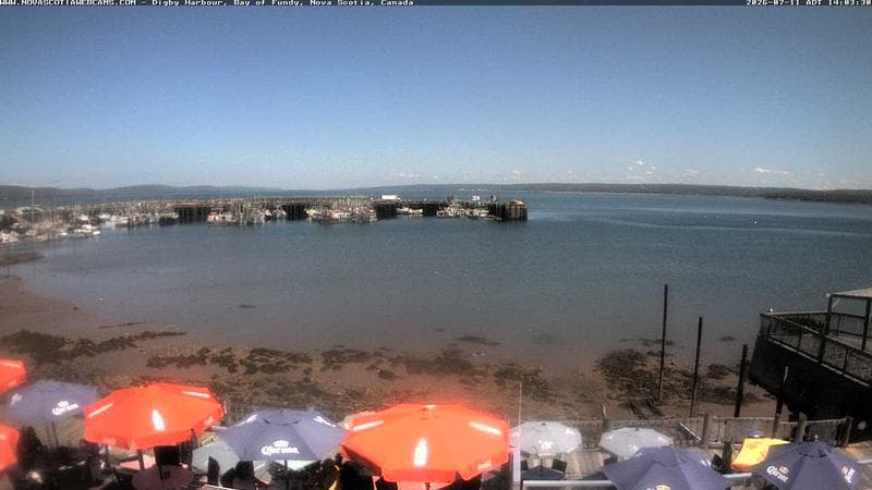 Digby Harbour