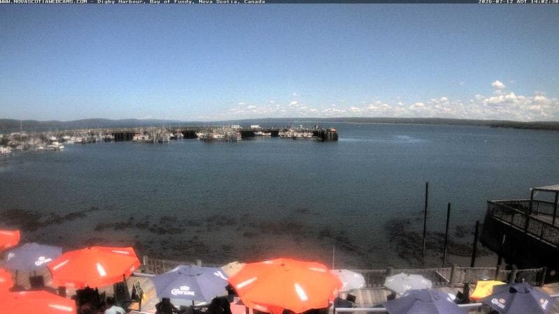 Digby Harbour
