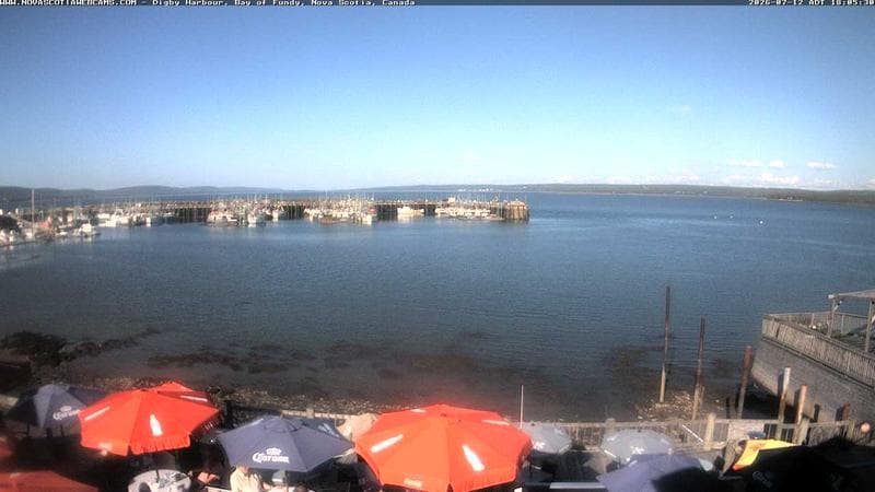 Digby Harbour