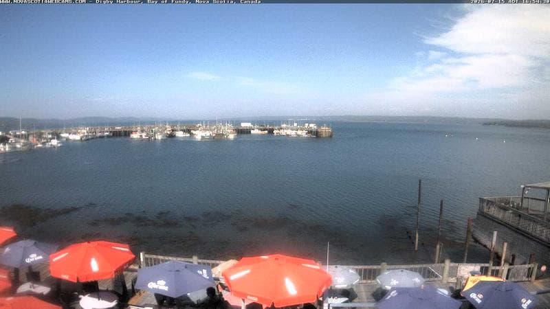 Digby Harbour