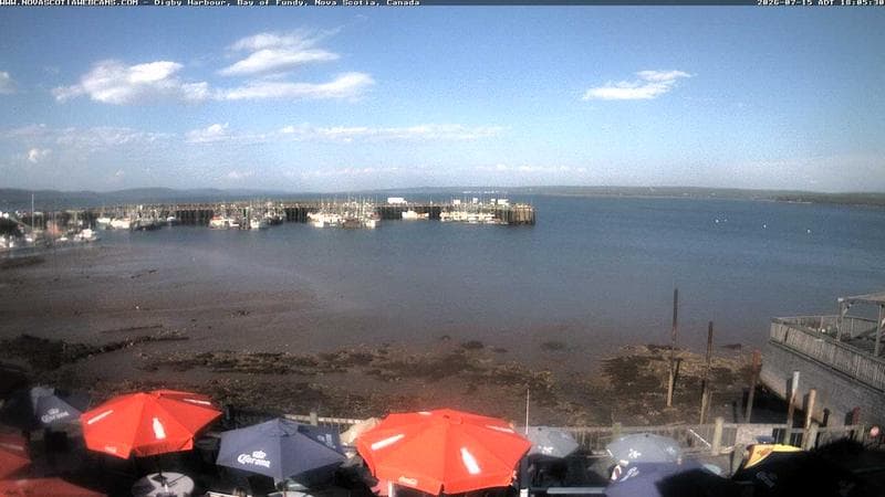 Digby Harbour