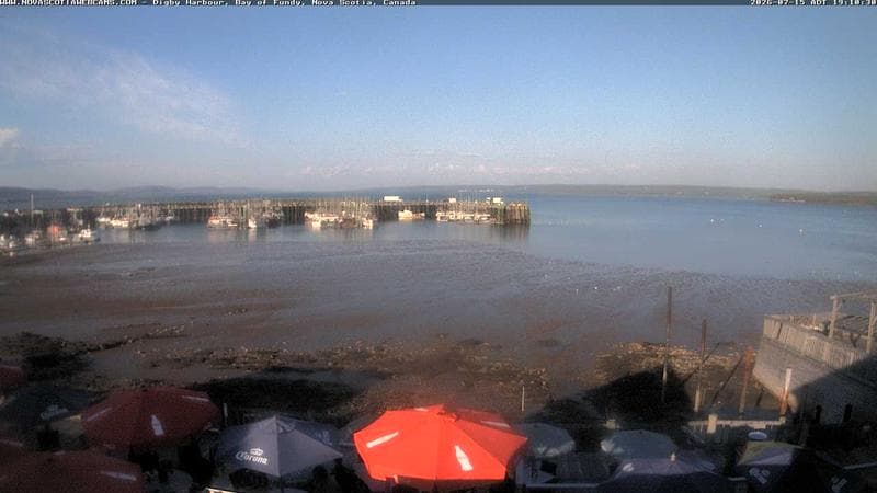 Digby Harbour