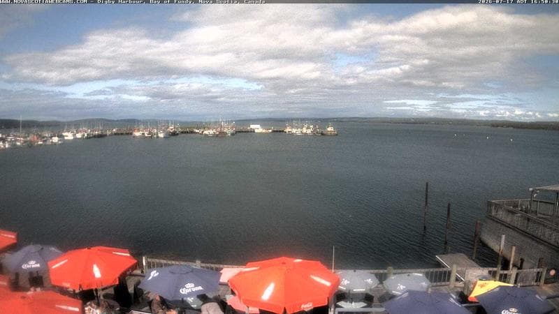 Digby Harbour