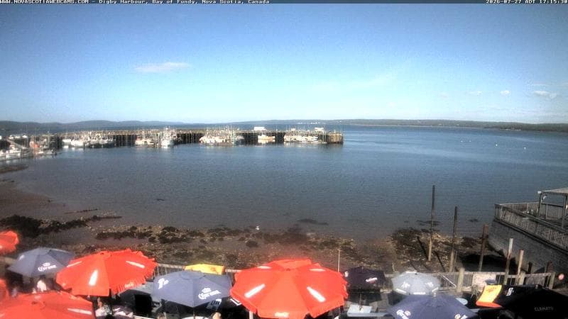 Digby Harbour