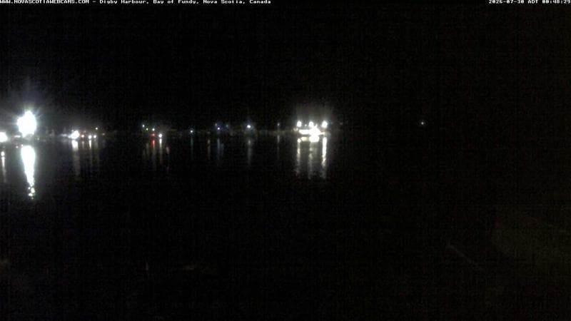Digby Harbour