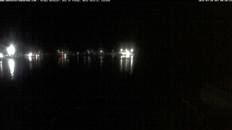 Digby Harbour