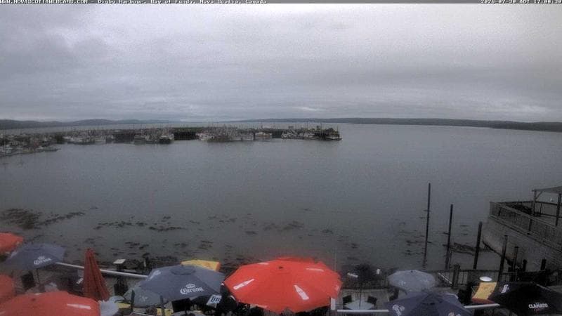 Digby Harbour