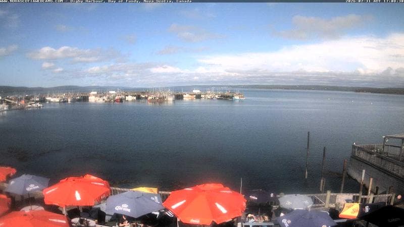 Digby Harbour