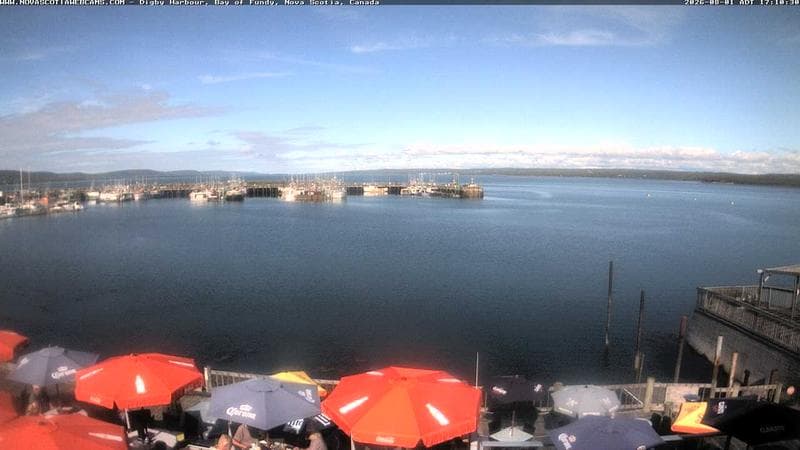 Digby Harbour