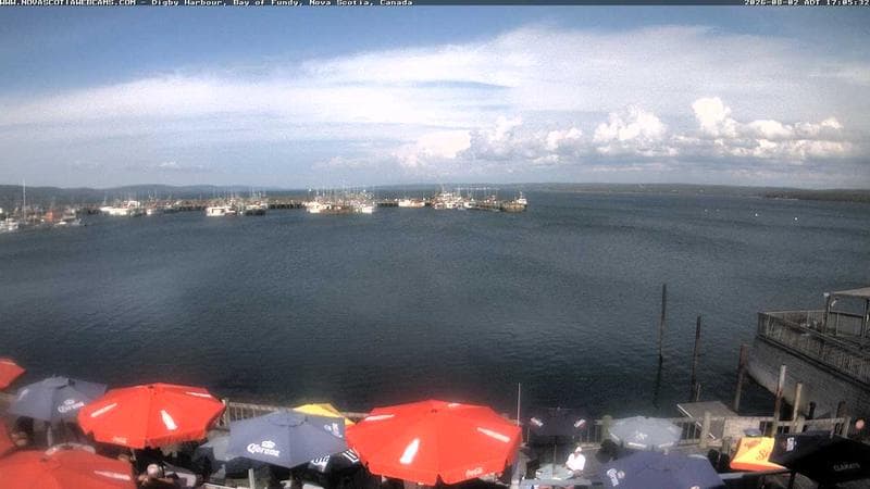 Digby Harbour