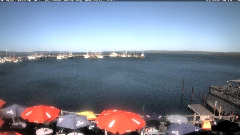 Digby Harbour