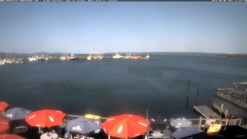 Digby Harbour