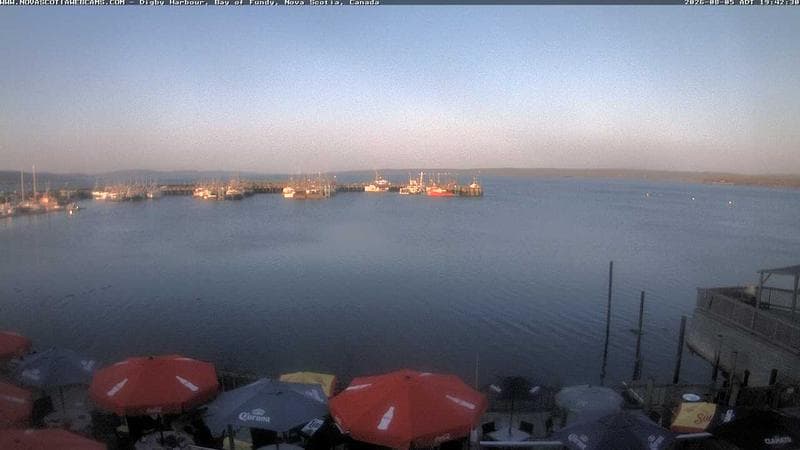 Digby Harbour