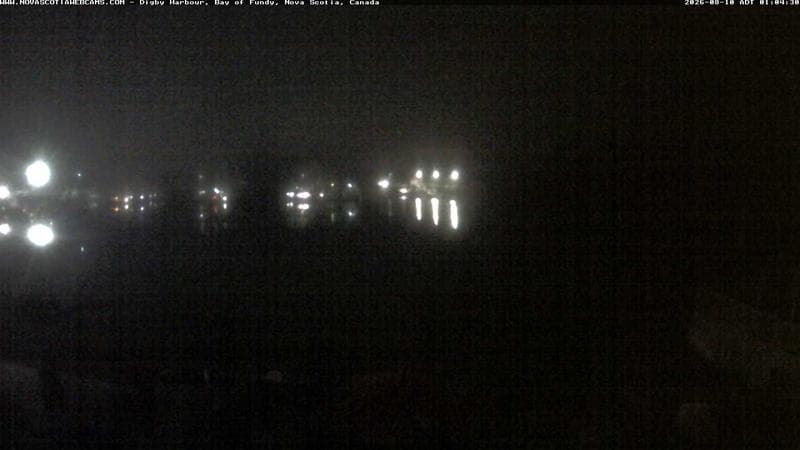 Digby Harbour