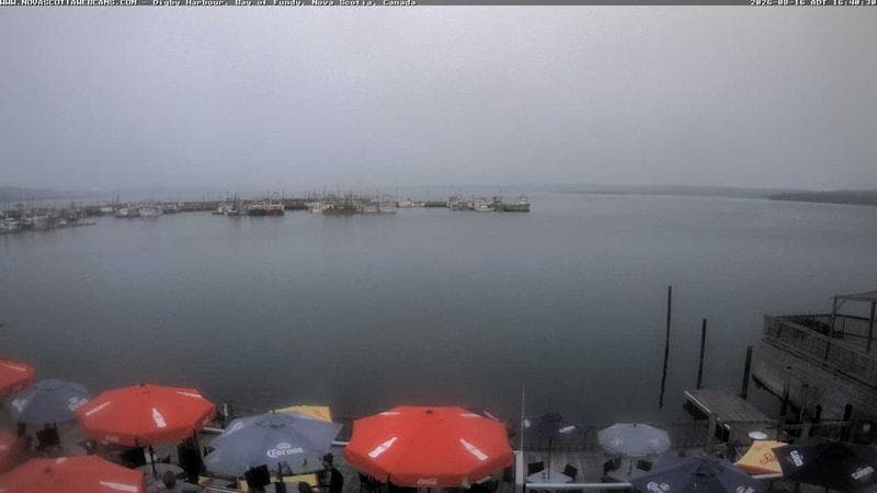 Digby Harbour