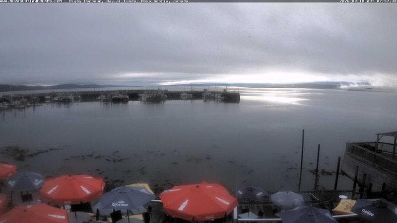 Digby Harbour