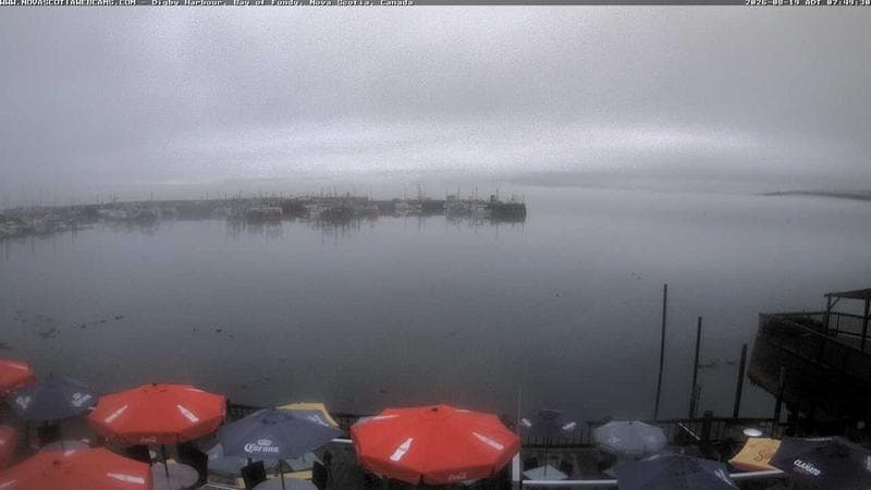Digby Harbour