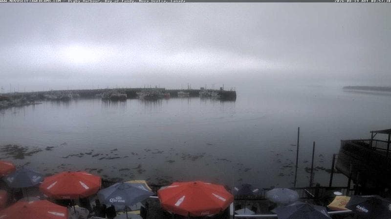 Digby Harbour