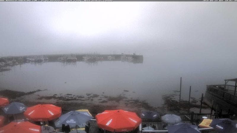 Digby Harbour
