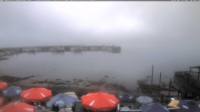 Digby Harbour