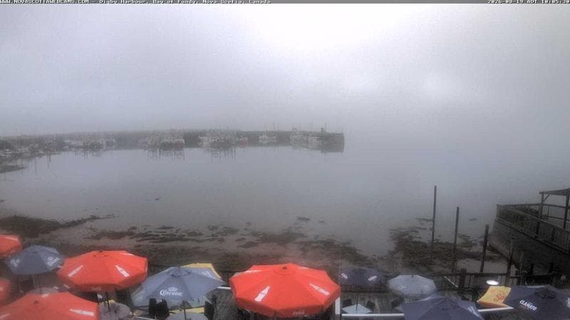 Digby Harbour