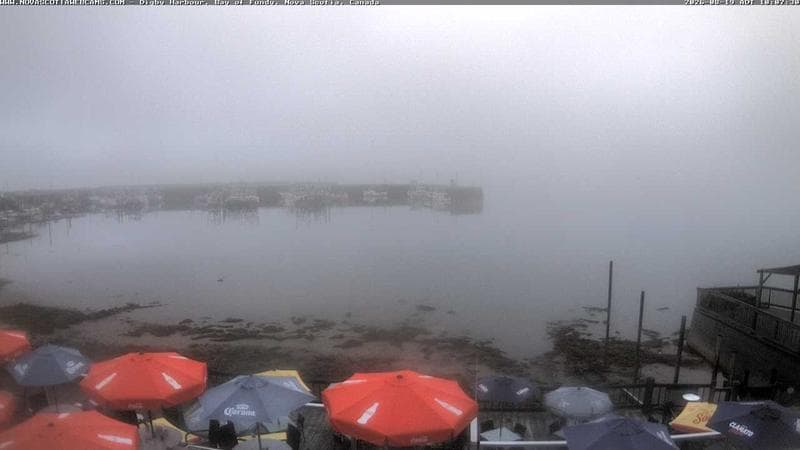 Digby Harbour