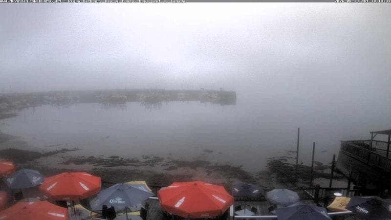 Digby Harbour