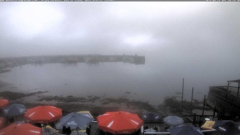 Digby Harbour