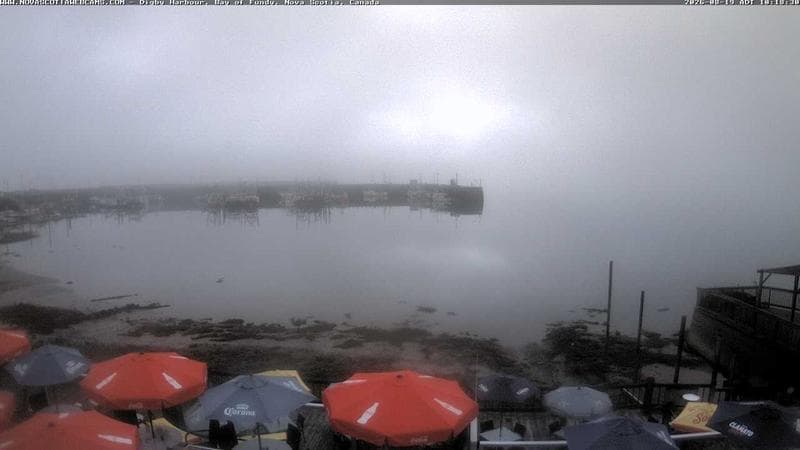 Digby Harbour