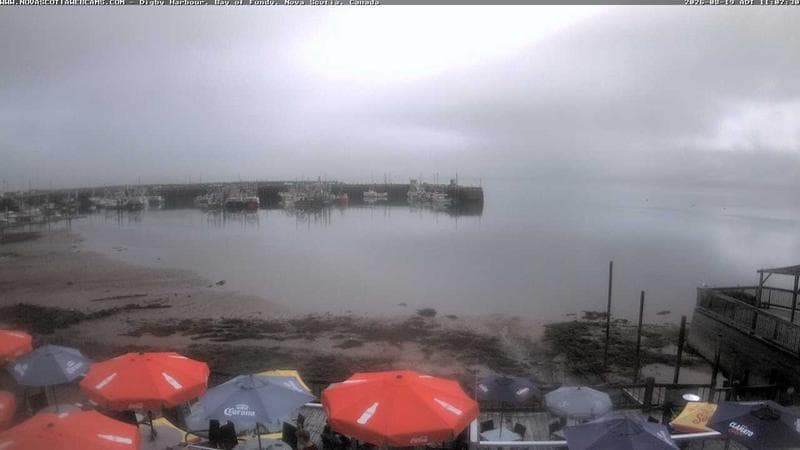 Digby Harbour