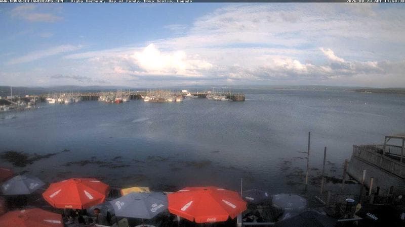 Digby Harbour