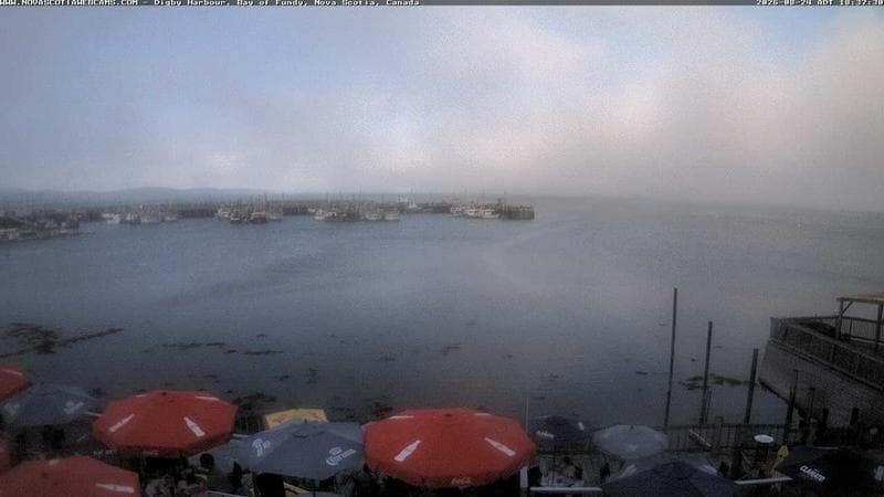 Digby Harbour