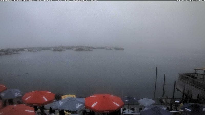 Digby Harbour